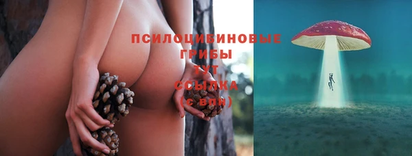 мяу мяу мука Алзамай