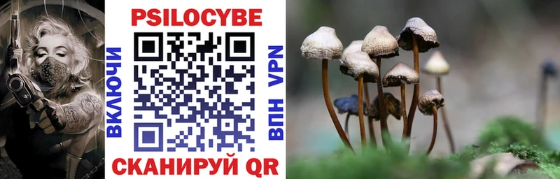 Галлюциногенные грибы Magic Shrooms хочу наркоту МЕГА как зайти Приозерск